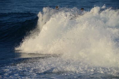 DSC_9453.JPG