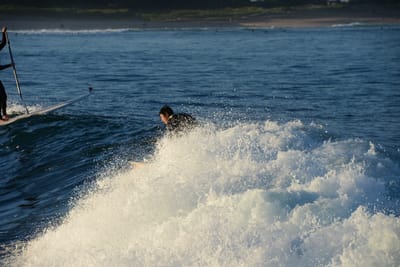 DSC_9459.JPG