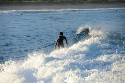DSC_9461.JPG