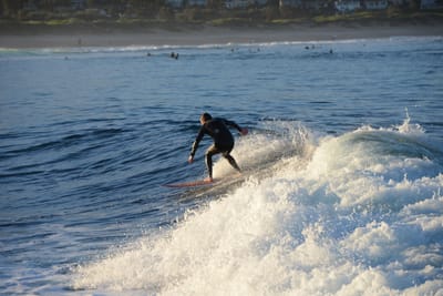 DSC_9476.JPG