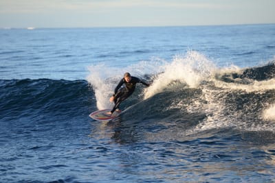 DSC_9481.JPG