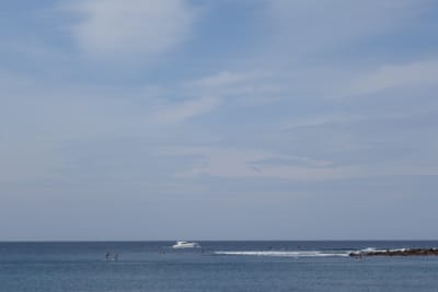 DSC01909.JPG