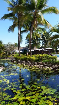 20140621_112145.jpg