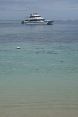 DSC03931.JPG