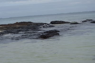 DSC03935.JPG