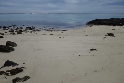 DSC04185.JPG