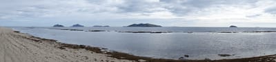 DSC04195.JPG