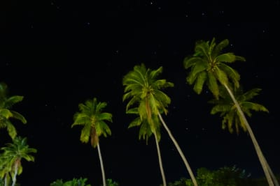 DSC04278.JPG