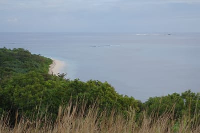 DSC04284.JPG