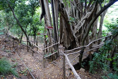 DSC04288.JPG