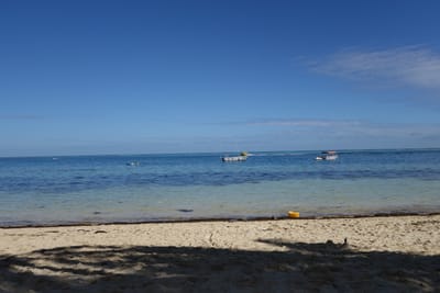 DSC04322.JPG