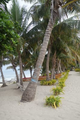 DSC04437.JPG
