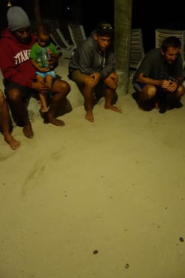 DSC04485.JPG
