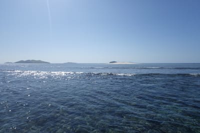 DSC04536.JPG