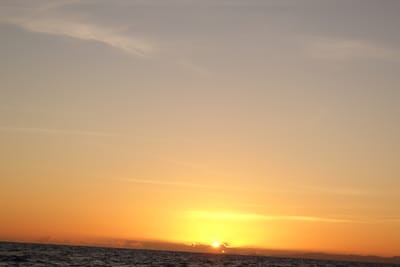 DSC04552.JPG