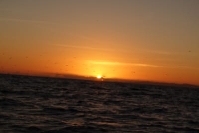 DSC04553.JPG