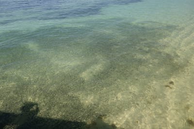 DSC04589.JPG