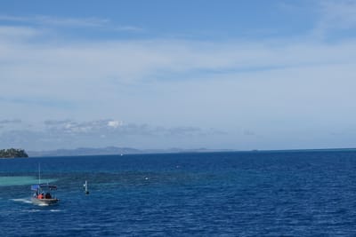 DSC04686.JPG