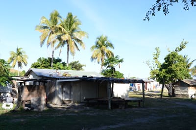 DSC_1239.JPG
