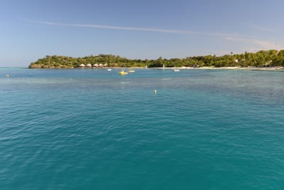 DSC_1241.JPG