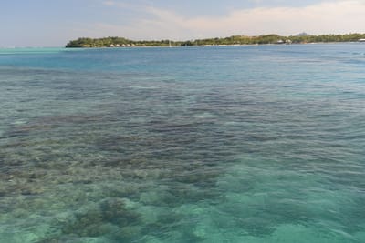 DSC_1247.JPG