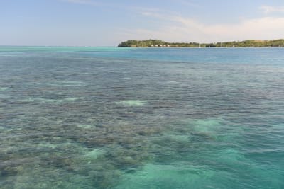 DSC_1248.JPG