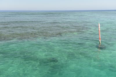 DSC_1249.JPG