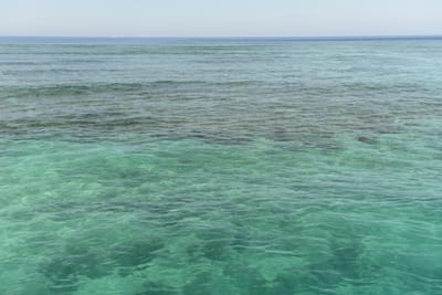 DSC_1250.JPG