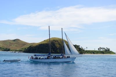 DSC_1251.JPG