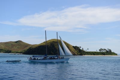 DSC_1252.JPG