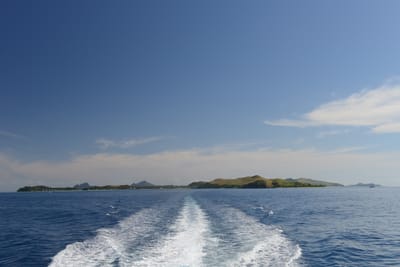 DSC_1254.JPG