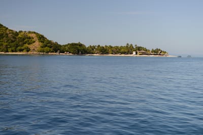 DSC_1255.JPG