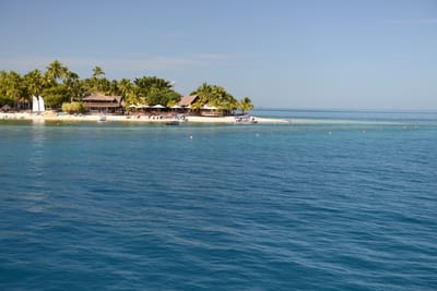 DSC_1256.JPG