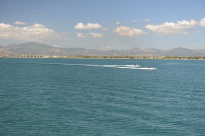 DSC_1270.JPG