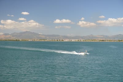 DSC_1271.JPG