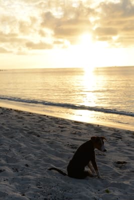 DSC_9923.JPG