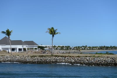 DSC_1272.JPG