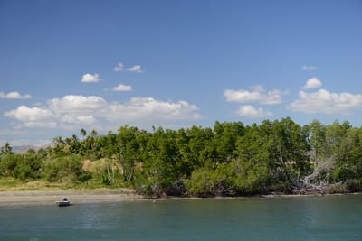 DSC_1276.JPG