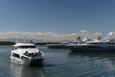 DSC_1287.JPG