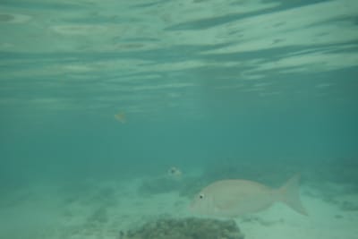 DSC03839.JPG