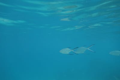 DSC03856.JPG