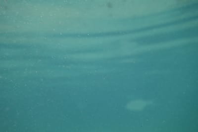 DSC03858.JPG
