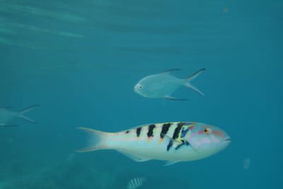 DSC03876.JPG