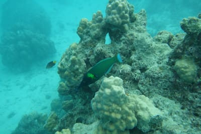 DSC03884.JPG