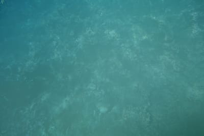 DSC04134.JPG