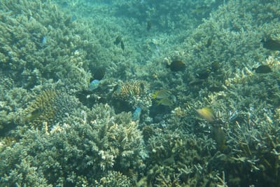 DSC04224.JPG