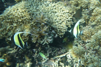 DSC04226.JPG