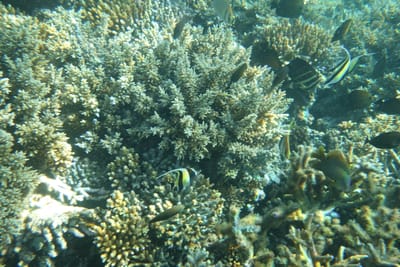 DSC04229.JPG