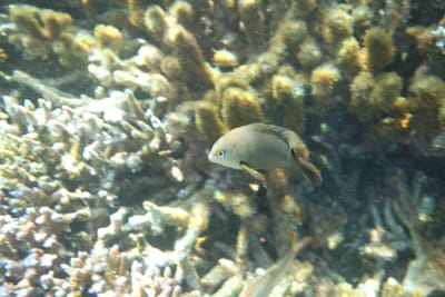 DSC04234.JPG