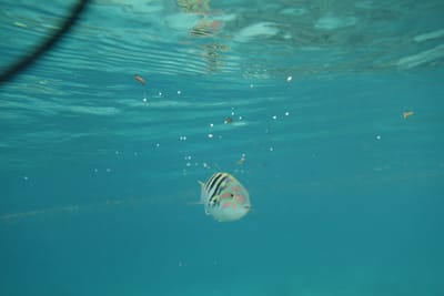 DSC04252.JPG